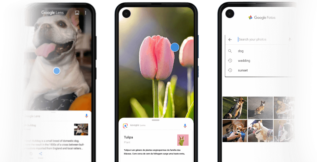 Fotos Google Assistente