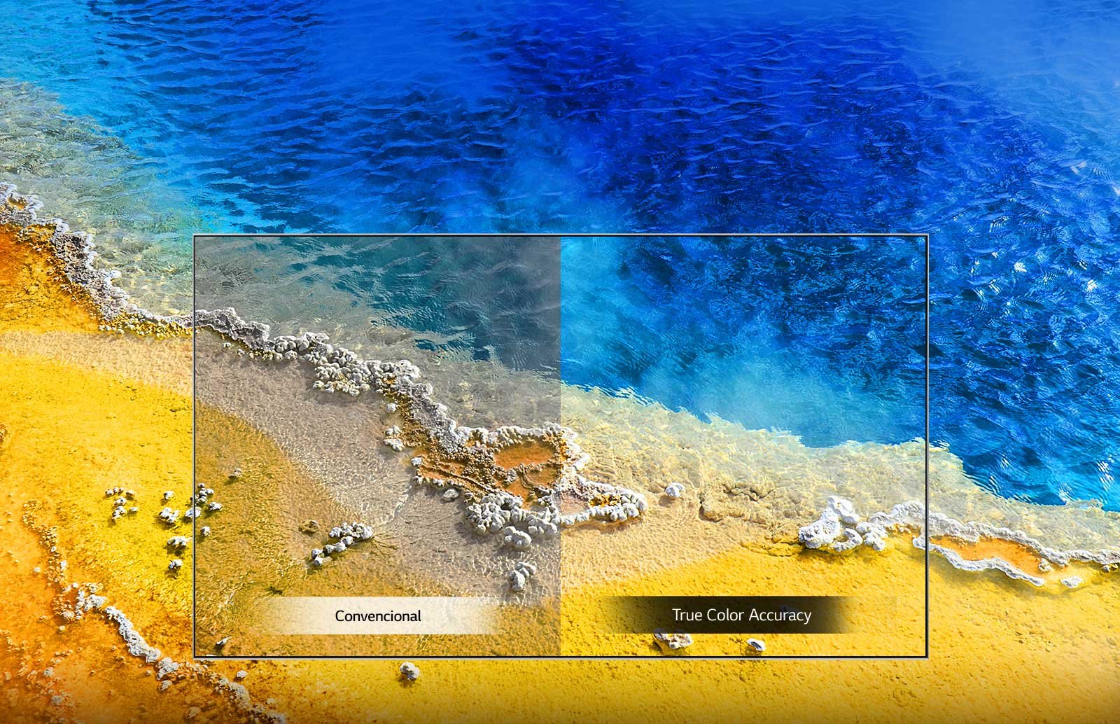 True Color Accuracy At&eacute; a mais sutil varia&ccedil;&atilde;o crom&aacute;tica &eacute; refletida com precis&atilde;o para fornecer cores mais n&iacute;tidas, ricas e realistas