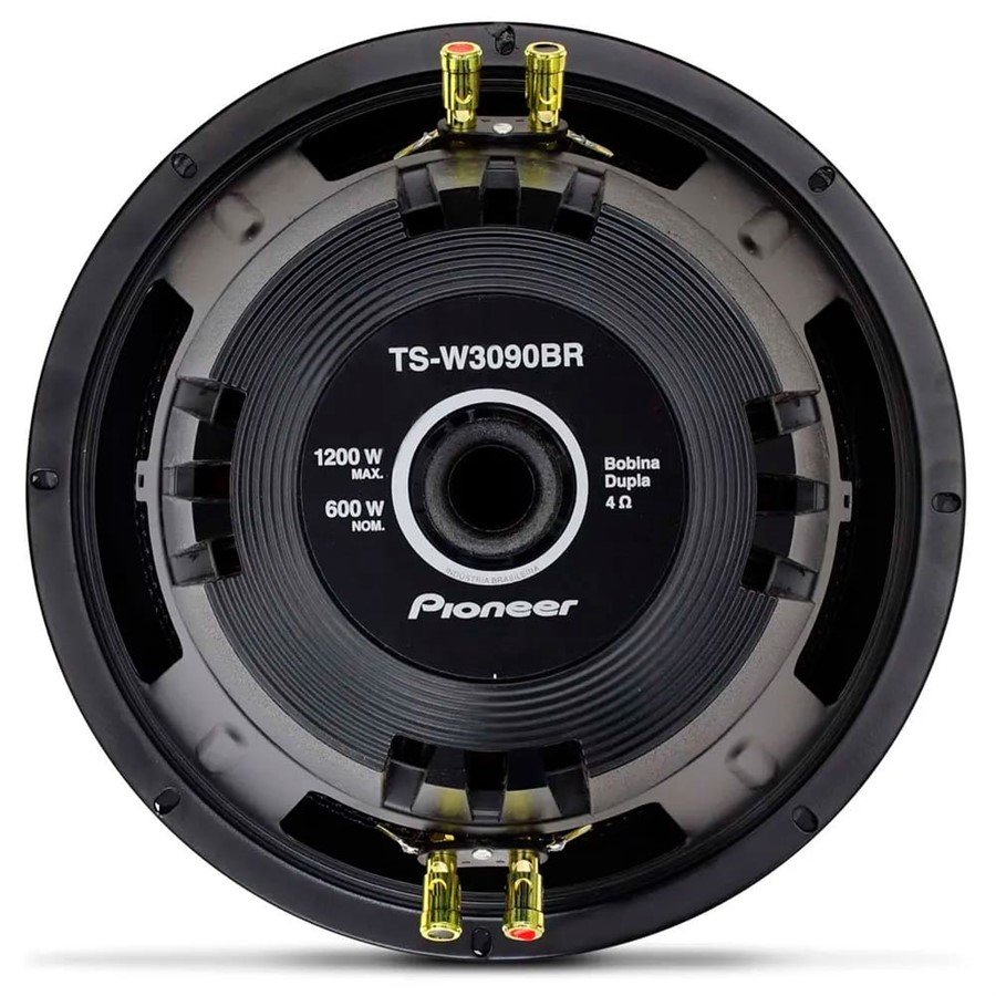 pioneer 12 sub