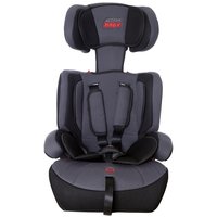 Cadeira Para Auto - 9 á 36 Kg - Action Baby Cinza
