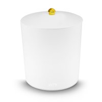 Lixeira Multiuso 5 Litros Puxador Dourado Banheiro - Branco