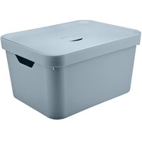 Caixa Organizadora 32L Organizador De Brinquedos Tampa Cube Azul Glacial