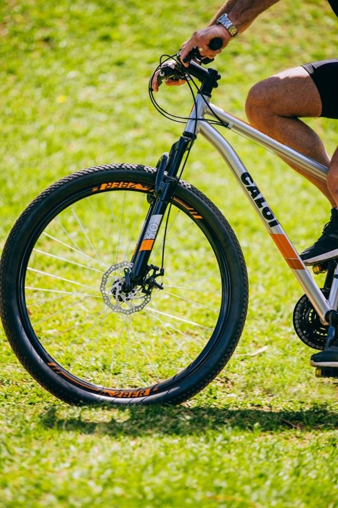 Caloi two niner alloy 21v clearance