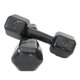 Par de Halter Dumbell Sextavado Revestido Ahead Sports 9 kg Preto