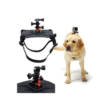 Fetch (Cinturão Canino) para Gopro e Câmeras de Ação