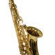 Kit Saxofone Tenor TS 200 Laqueado New York + Estante de Partitura S2