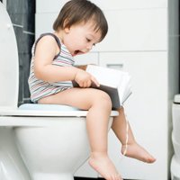 Redutor Sanitário Dobrável Comfort Seat Multikids Baby BB158