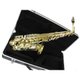 Saxofone Alto AS 200 Laqueado Dourado com Case New York