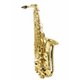 Saxofone Alto AS 200 Laqueado Dourado com Case New York