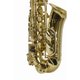 Saxofone Alto AS 200 Laqueado Dourado com Case New York
