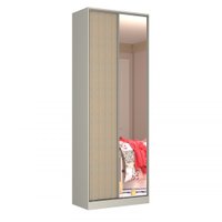 Guarda Roupa Closet Compact 2 Portas Com 1 Espelho Nova Mobile