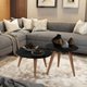 Conjunto Sala com Aparador Buffet / Mesa de Centro e Lateral Cissa - Preto - RPM Móveis