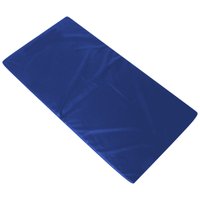 Colchonete Para Ginástica De Espuma 90 x 43 x 2 Cm Orthovida - Azul