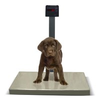 Balança Pet Digital 200kg/50g Inox Pesadora Sem Bateria