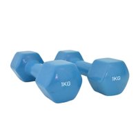 Par de Halteres Vinil Hexagonal 1kg Cada Wellness - WK092