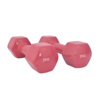 Par Halteres Hexagonal Vinil 2kg Cada Wellness - WK093