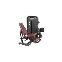 Maquina para Academia Cadeira Extensora Ahead Sports Preta