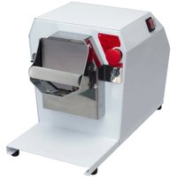 Ralador Elétrico Bivolt Industrial para Queijo Legumes com 3 Discos de Corte Saro Branco