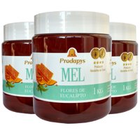 Mel Flores de Eucalipto 1kg - Eleito o Melhor Mel do Mundo Kit com 3