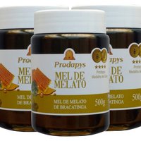Mel Melato de Bracatinga 500g Kit com 3
