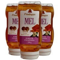 Bisnaga 550g de Mel Flores de Uva Japonesa Kit com 3