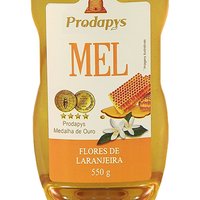 Bisnaga 550g de Mel Flores de Laranjeira