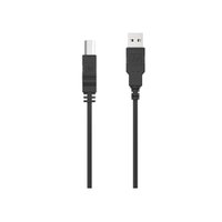 Cabo HP Original Para Impressora USB AM/BM 2.0 DHC-PT100 3M