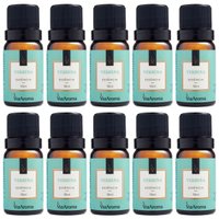 Kit 10 Essências Aromatizadoras Para Difusor Elétrico 10ml Verbena - Via Aroma