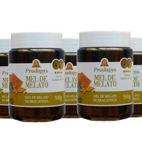 Mel Melato de Bracatinga 500g Kit com 5