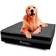 Cama Box Pet Bordado Em Matelassê Com Lençol Impermeável Branco Para Cachorros e Gatos 100x100x24cm -  Bf Colchões