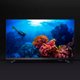 TV Philips 32 Polegadas 32PHG6918 Smart ANDR 3 HDMI 2 USB Wifi 5G