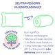 Kit 5 Travesseiros Antialérgico Macio Fibra 45x65cm BF Colchões