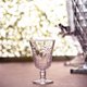 Taça para Água de Vidro Cristal Palm 240ml Lyor Decorada Palmeiras Servir Suco Água Aromatizada