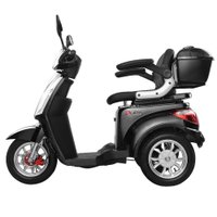 Triciclo Elétrico 1000W Ré Alarme Bagageiro Eko-10 Prata