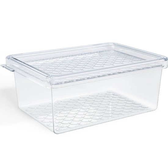 Organizador de Geladeira C/ Tampa 660ml Cozinha Multiuso Frutas Pequeno Transparente UZ