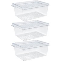 03 Organizadores de Geladeira com Tampa 660ml Cozinha Multiuso Frutas Transparente UZ