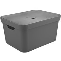 Kit 2 Caixas Organizadoras 32 Litros com Tampa Cesto para Brinquedos Chumbo