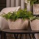 Kit Com 6 Cachepots Floreira de Mesa 4,1L Conjunto de Vasos para Plantas Borboletas 3D Plasvale