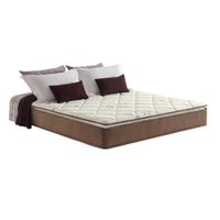 Colchão Queen Espuma Compact AG 65 / D28 / Star Pillow Top Brown (158x198x30) - D Angelis Anjos
