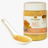 Mel Multiflores Cremoso 500g Prodapys