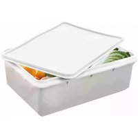 Caixa Plástica com Tampa 6,5Litros Hermética Plasvale Branca Alimentos Organização Cozinha