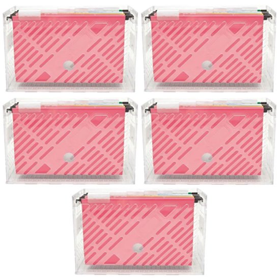 Kit 5 Caixas Organizadoras de Pastas Suspensas 6 Divisórias Coloridas Arquivos DelloColor