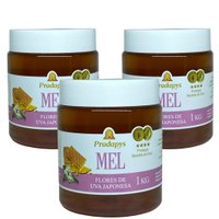 Mel Flores de Uva Japonesa 1kg Kit com 3