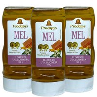 Bisnaga 300g de Mel Flores de Uva Japonesa Kit com 3