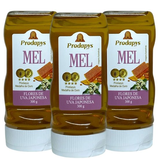 Bisnaga 300g de Mel Flores de Uva Japonesa Kit com 3