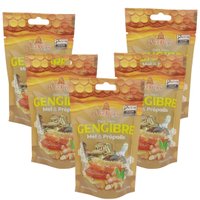 Bala com Gengibre e Mel & Própolis 60g Kit com 5 - Prodapys