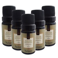 Kit 5 Essências Aromatizantes Alecrim Silvestre 10ml para Aromatizador Elétrico Via Aroma