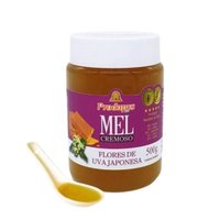 Mel Flores de Uva Japonesa Cremoso 500g