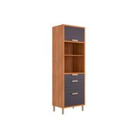 Paneleiro de Cozinha Eloise c/ 2 Portas Basculantes Riscadas 1 Nicho p/ Forno e 2 Gavetas 70 cm Cinamomo/Titanium - MGM