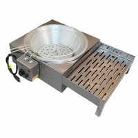 Fritadeira Tacho Elétrica Sebem 3 Litros 3000W 220V com Escorredor Embutido STEC7